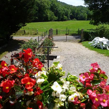 Gite Le Moulin Pres De Tarbes, Lourdes, Bagneres De Bigorre Mascaras Esterno foto